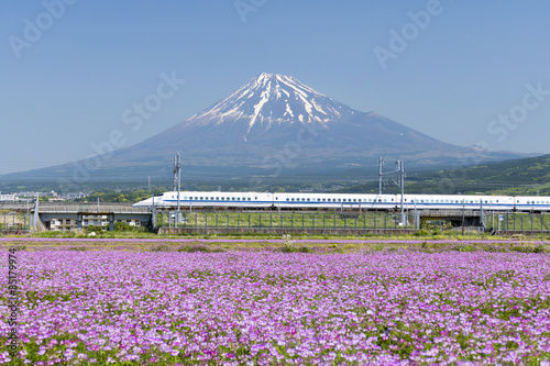 新幹線と富士山とお花畑 快晴青空 Wall Mural Wallpaper Murals Oka