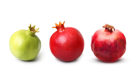 Pomegranate isolated 