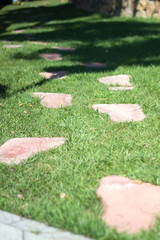 Footpath from big feet of the yeti selective focus