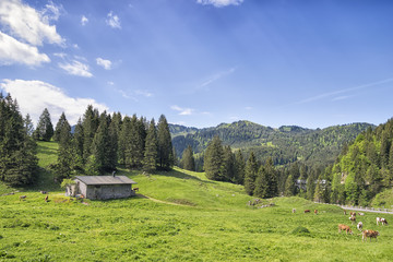 Bavaria Alps near Spitzingsee