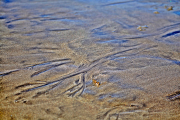 sand root pattern one
