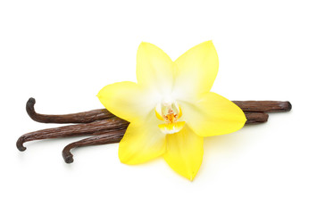 Naklejka na ściany i meble Vanilla pods and orchid flower isolated