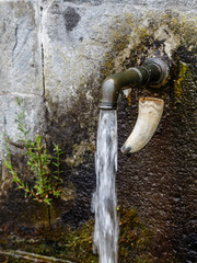 Fuente natural en el valle de Leitariegos, Asturias
