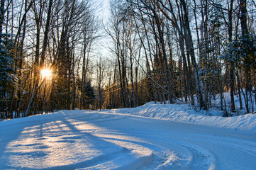 sun shinning through the trees on a winter morning