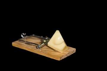 Cheese mousetrap