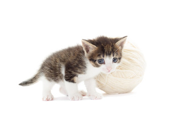 kitten and a ball of yarn