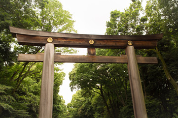  japanese famous Shrine "meijijingu" in the forest