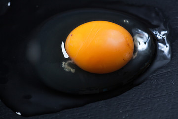 single egg