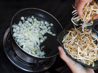 Omelette with fried eggs, sprouts and onions