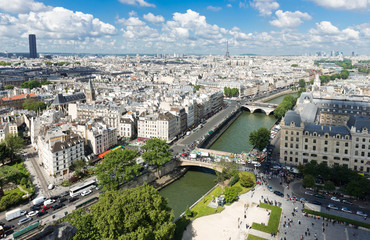 Fototapeta premium View on Paris form Notre Dame cathedral