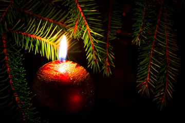 Fototapeta na wymiar candle and fir branches