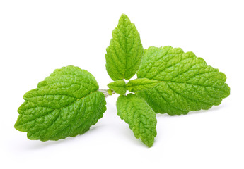 Green mint leaves isolated  © Valentina R.