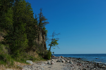 Obraz premium Cliff of Orlowo at Baltic sea, Poland