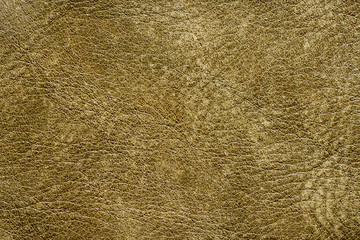 natural yellow green leather texture