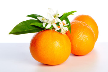 Oranges with orange blossom flowers on white