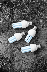 Energy efficient light bulbs