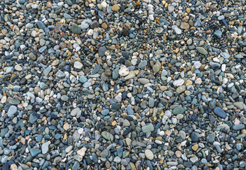 Pebble on the beach of the Black sea 