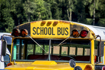 Schulbus / School Bus