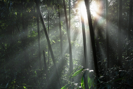 Colorful sunbeam