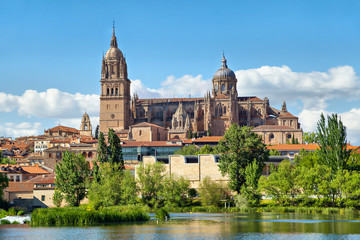 New Cathedral in Salamanca - view from river side, Castilla, Spain - obrazy, fototapety, plakaty