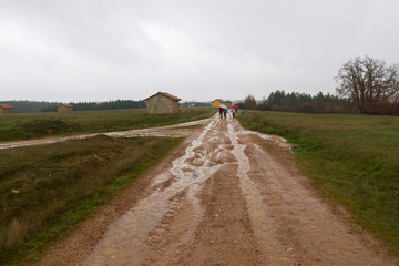 People with Umbrellas on a Dirt Road in the Rain