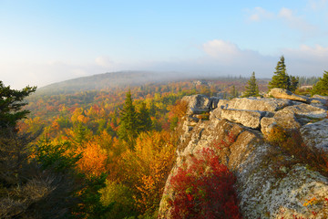 Foggy, Autumn Sunrise at Bear Rocks, WV