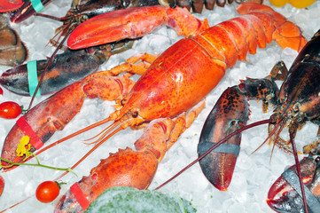 lobster