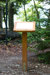 wood pancarte in the forest
