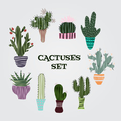 Flat colorful illustration of succulent plants and cactuses in pots. Vector botanical graphic set with cute florals.