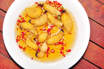 Red Palm Weevil Larva or Coconut worm or Duong dua or sago worm (Rhynchophorus ferrugineus) from Vietnam