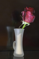 vaso di fiori opaco,che si riflette sulla superficie di vetro scuro