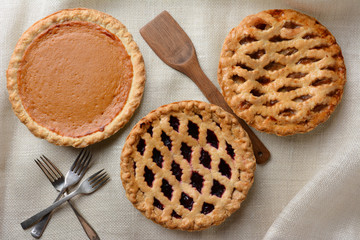 Three Assorted Pies © Steve Cukrov