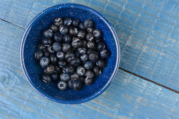 Blue Bowl of Blueberries