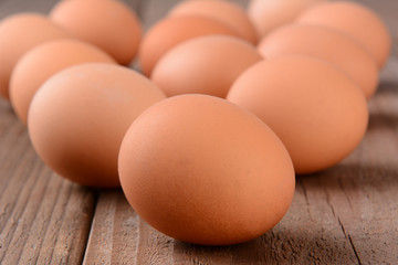 Brow Eggs Closeup