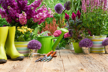 Gardening tools and flowers  on the terrace in the garden
