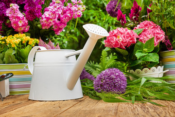Gardening tools and flowers  on the terrace in the garden