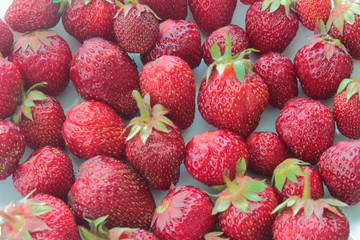many strawberries