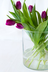 Purple tulips in a glass vase