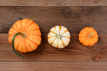 Different Decorative Pumpkins