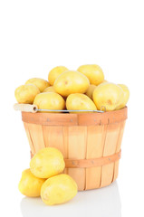 Basket Full of White Potaotes