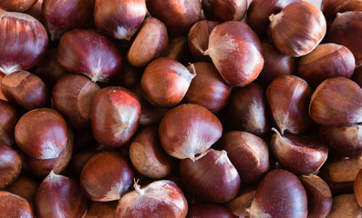 Background of raw chestnuts