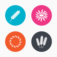 Agricultural icons. Gluten free symbols.