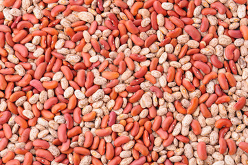 Pinto and Red Kidney Beans