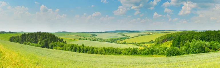 Deurstickers Panorama van landelijk landschap © denis_333