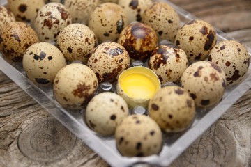 Quail eggs