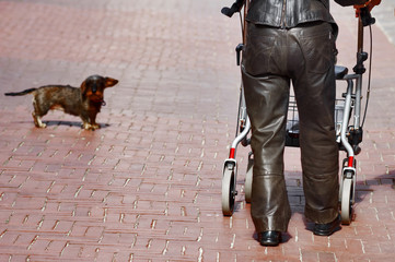 Mühsamer Spaziergang - Frau mit Rollator und Hund in der Stadt