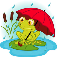 frog under umbrella - vector illustration, eps