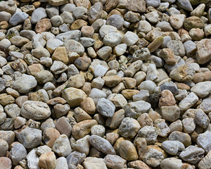 Pebbles