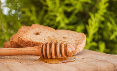 toasted bread with honey and honey dipper in nature background
