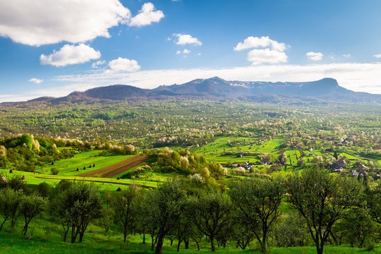 Maramures Landscape